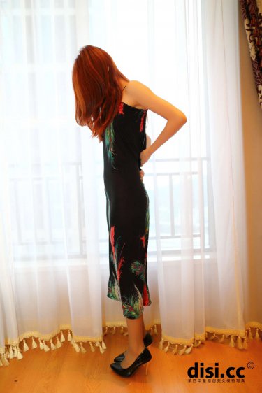 完美盗贼